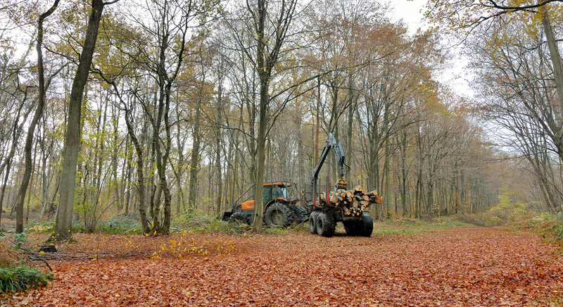 Achat de bois